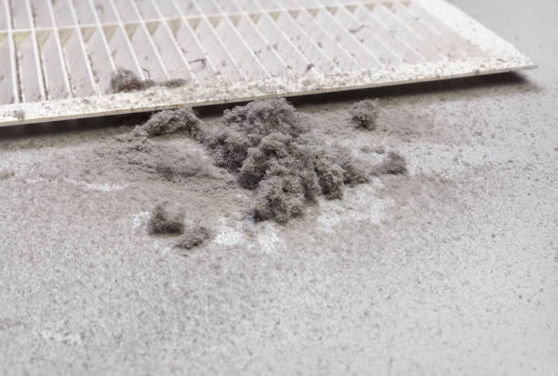 Best HVAC Air Duct Cleaning  in Mineola, TX