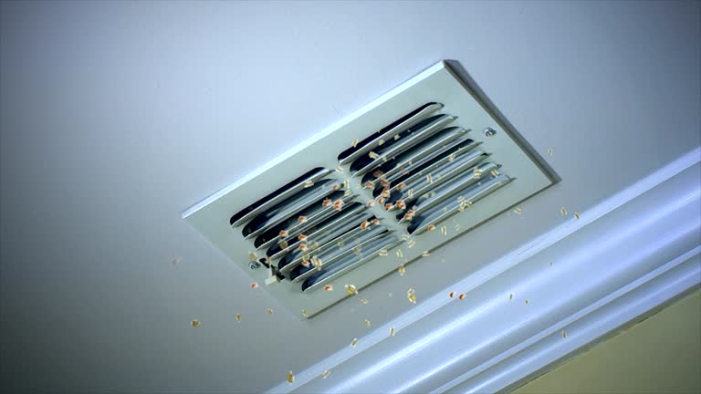 Best Affordable HVAC Duct Cleaning  in Mineola, TX