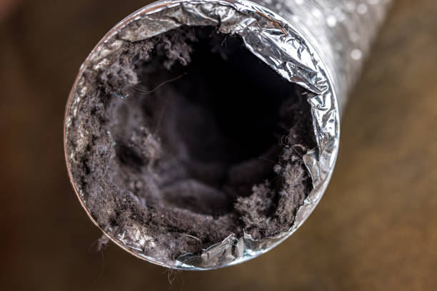 Best Emergency Air Duct Cleaning  in Mineola, TX