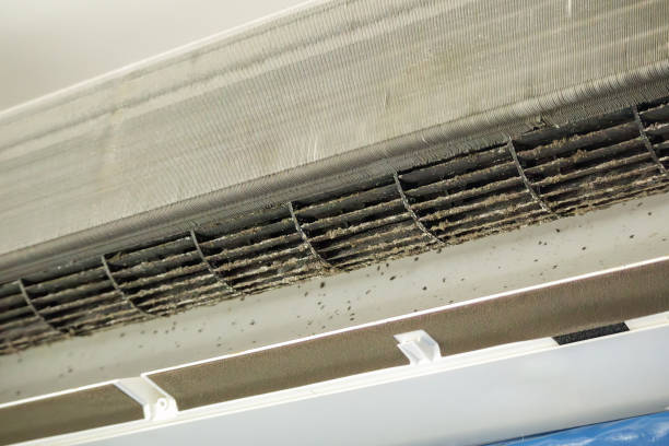 Best Air Duct Cleaning Near Me  in Mineola, TX